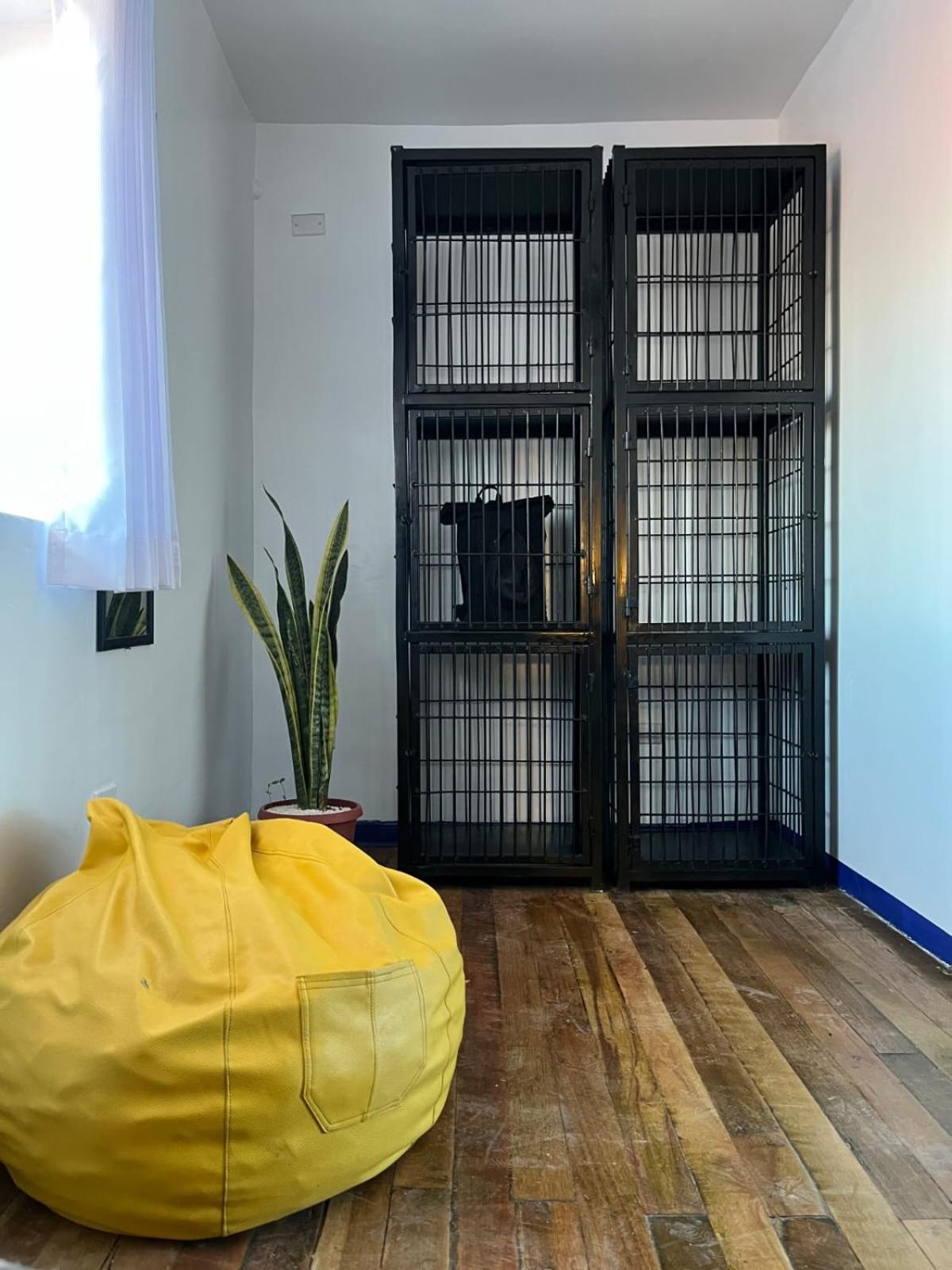 Haku Hostel Cuzco Kültér fotó